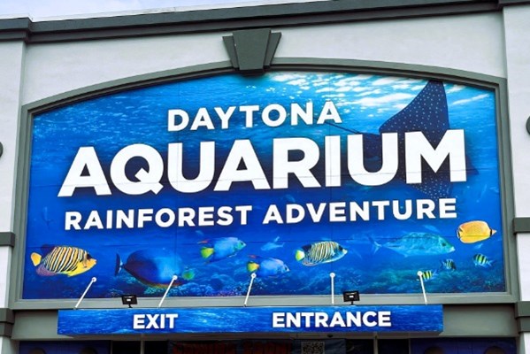 Dive into Discovery: Unveiling the Magic of Daytona Aquarium & Rainforest Adventure