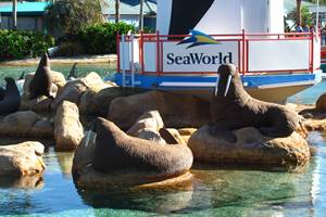 SeaWorld Quick Facts SeaWorld Quick Facts