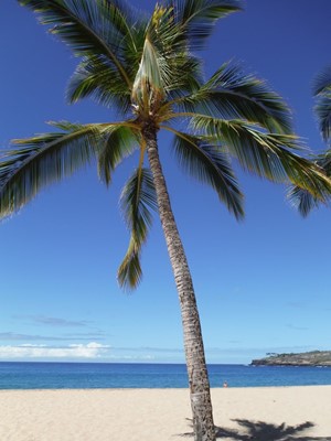Hulopoe Beach at Manele Bay Hulopoe Beach at Manele Bay