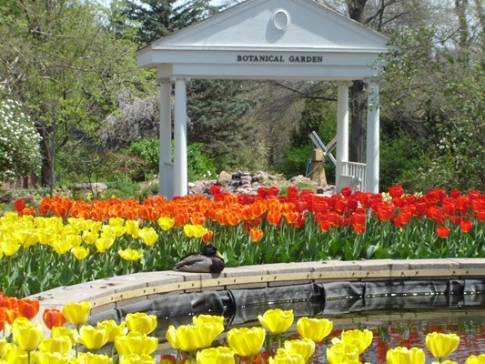 Old Prairie Town at Ward-Meade Historic Site and Botanical Garden