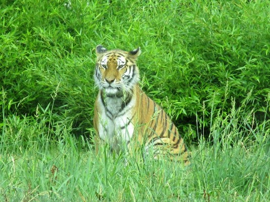 Sedgwick County Zoo