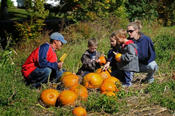 Charmingfare Farm
