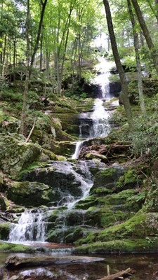 Buttermilk Falls