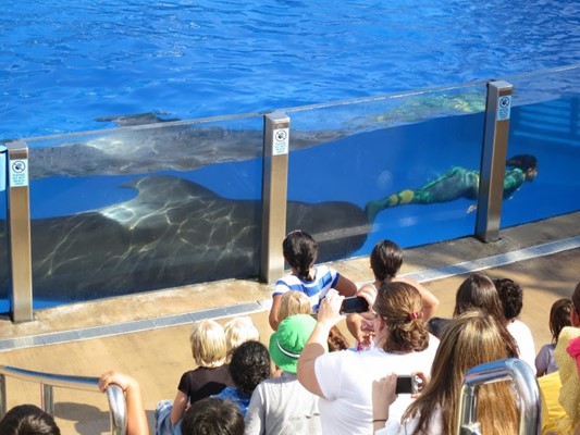 SeaWorld San Diego