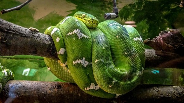 Philadelphia Zoo