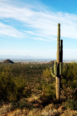Usery Mountain Regional Park