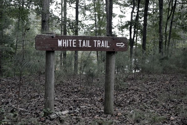 Red Top Mountain State Park & Lodge