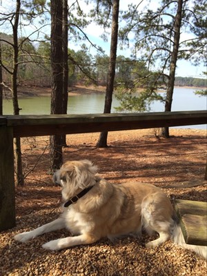 McKinney Campground