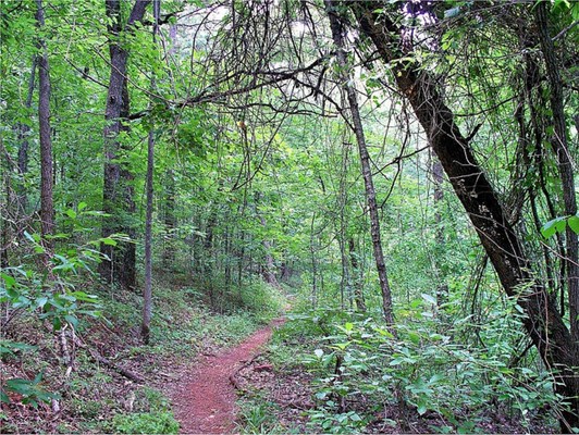 Ruffner Mountain Nature Preserve