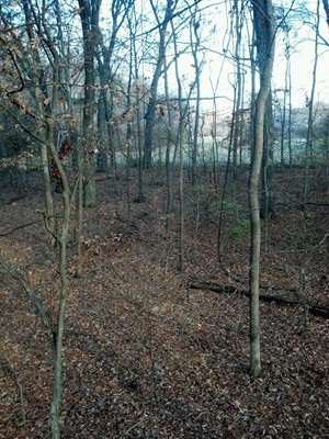 Wheeler National Wildlife Refuge