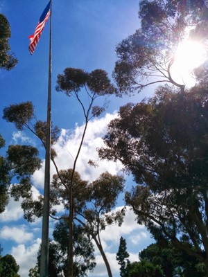 Presidio Park