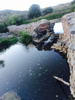 Mission Trails Regional Park