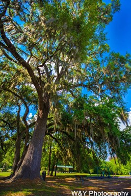 Veterans Memorial Park