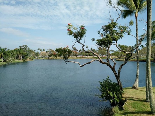 Wailoa River State Park