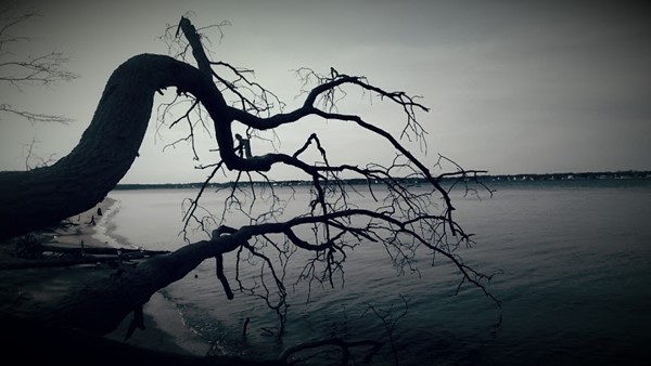 Cattus Island County Park