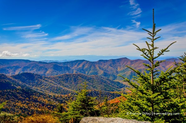 Mount Mitchell State Park