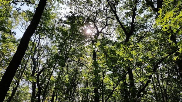 Rocky Ridge County Park