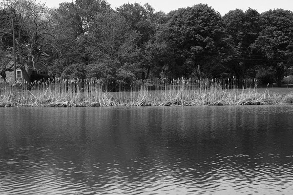 Covered Bridge Park