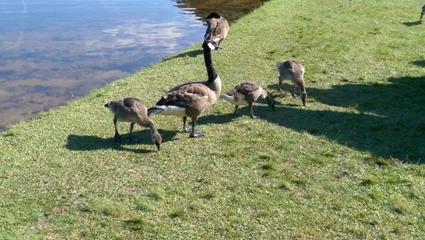 Sesquicentennial State Park