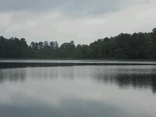 Little Pee Dee State Park