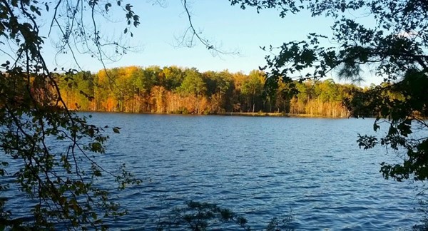 Newport News Park