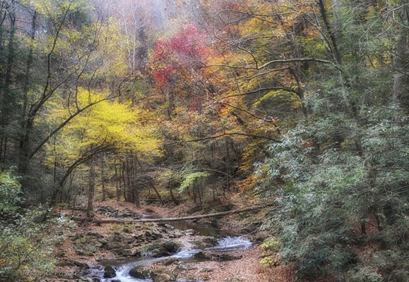 Meadow Branch Cascade