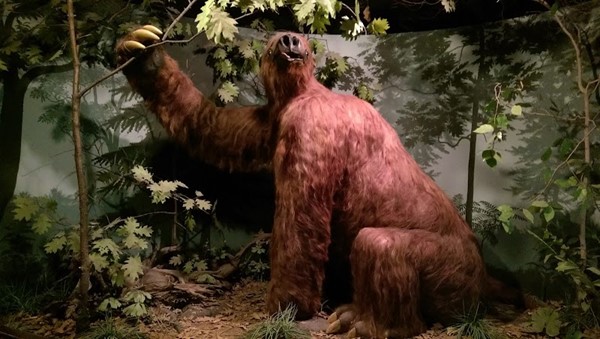 University of Iowa Museum of Natural History