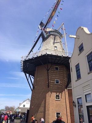 Vermeer Mill