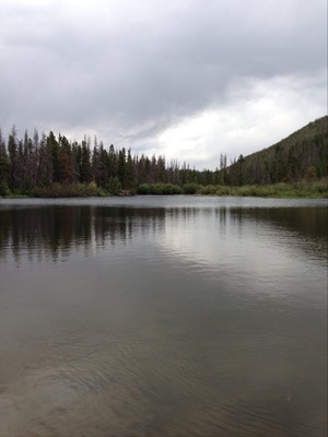 Buffalo Mountain Trailhead