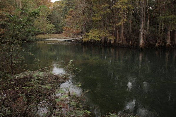 Manatee Springs State Park