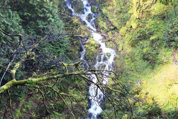 Multnomah Falls