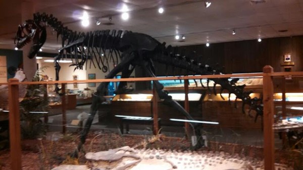 Center for the Arts & Sciences Center for the Arts & Sciences