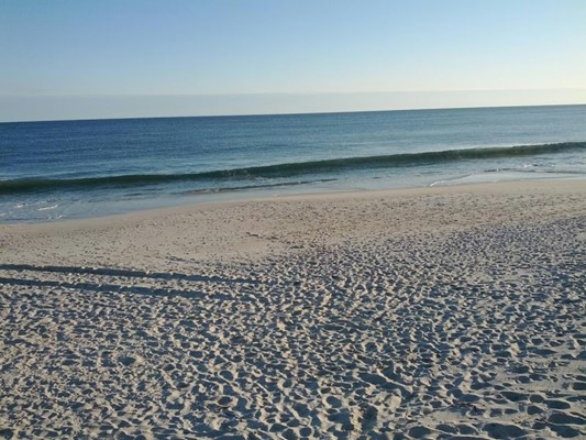 Fire Island National Seashore