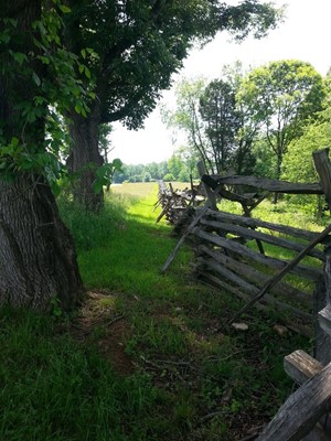 Thomas Jefferson's Poplar Forest