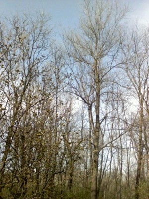 Viking Lake State Park