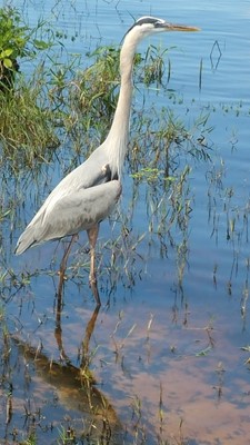 Long Point Park