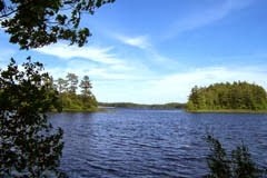 Poland Spring Campground