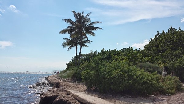 Crandon Park