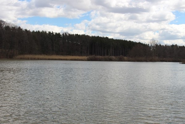 Findley State Park