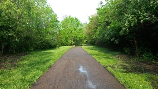 Corwin M Nixon Park