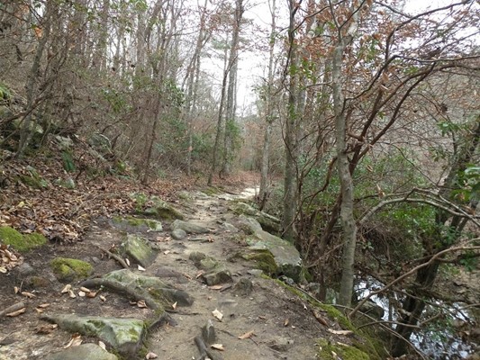 Canyon Mouth Park