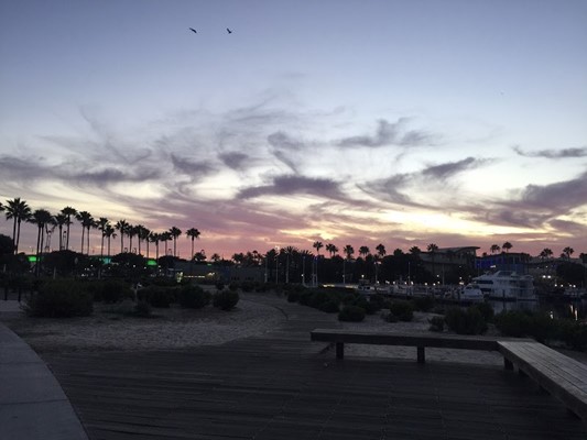 Cesar E. Chavez Park Cesar E. Chavez Park