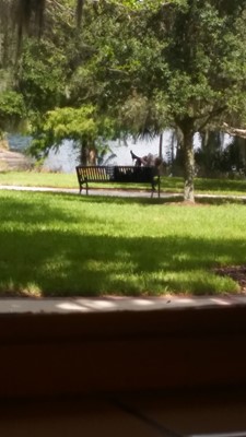 Lake Concord Park