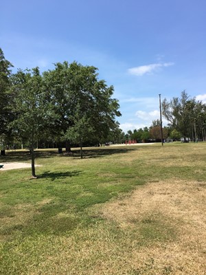 Kennedy Park