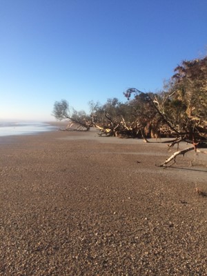 Little Talbot Island State Park Little Talbot Island State Park