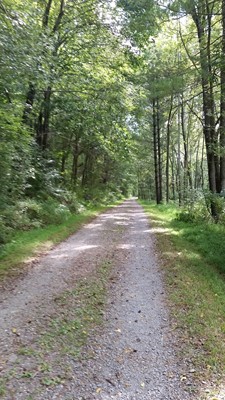 Little Bennett Regional Park Little Bennett Regional Park