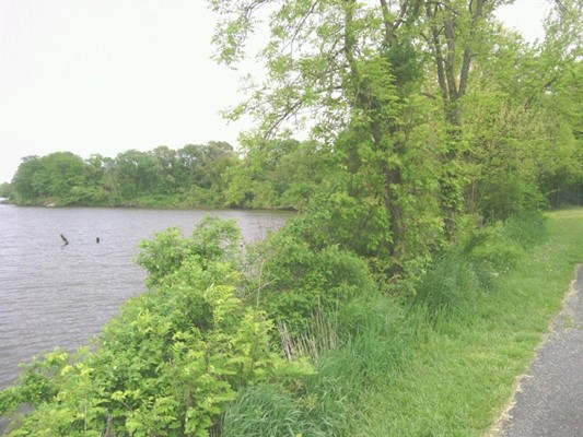 Stansbury Park