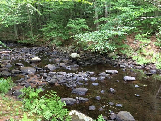 Chatfield Hollow State Park