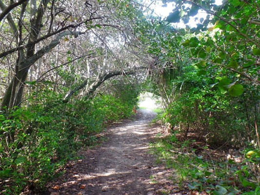 Hugh Taylor Birch State Park