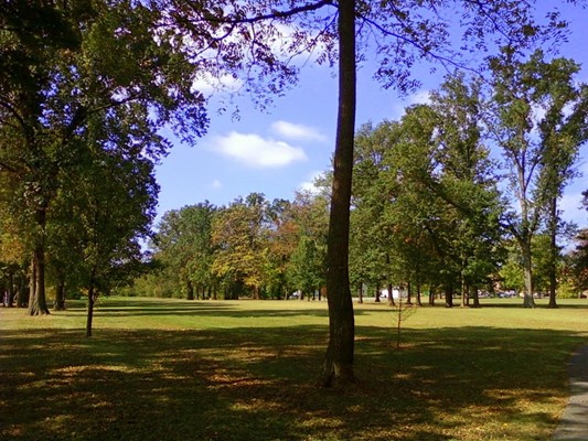 Robsion Park